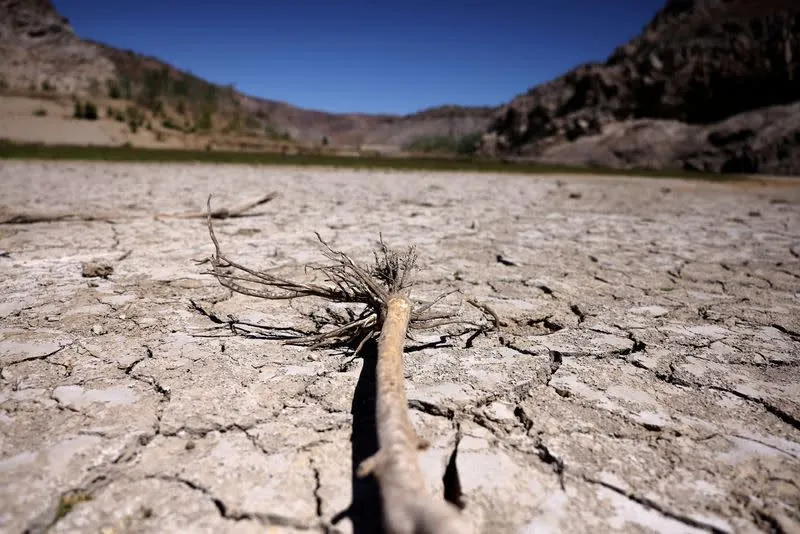 UN: the world needs 2 2.6 trillion to fight land degradation