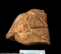 Mysterious turtle sculpture found in Holy Land cave after 35,000 years