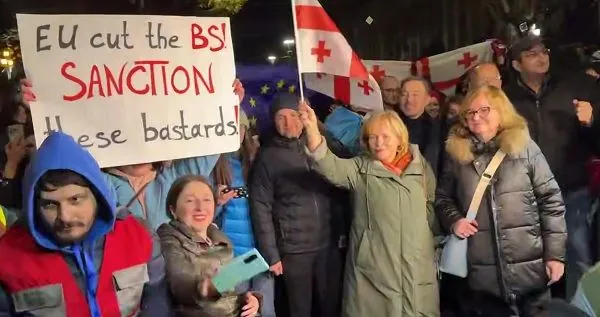Протесты в Грузии: депутаты Европарламента пришли на проевропейский митинг в Тбилиси