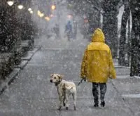 Frost and sleet: weather forecast for today