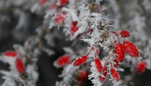 Преимущественно без осадков, местами до 9° тепла: прогноз на 18 декабря