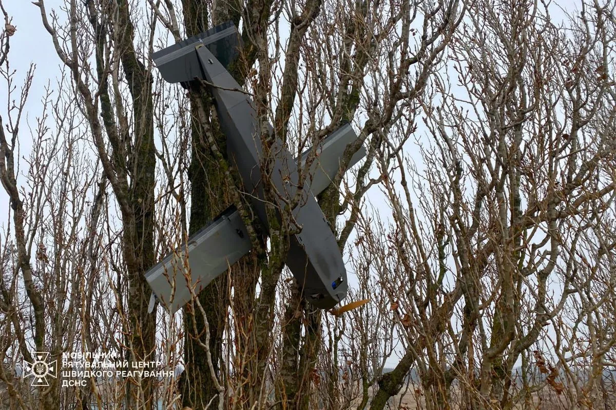 Stuck in a tree: an enemy decoy drone was found in Kyiv region