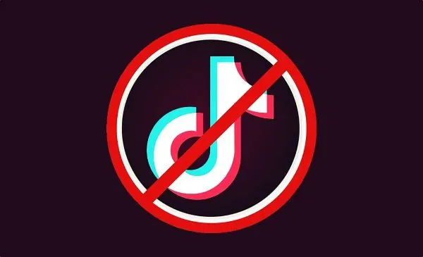 В Албанії заблокують TikTok: як довго діятиме обмеження