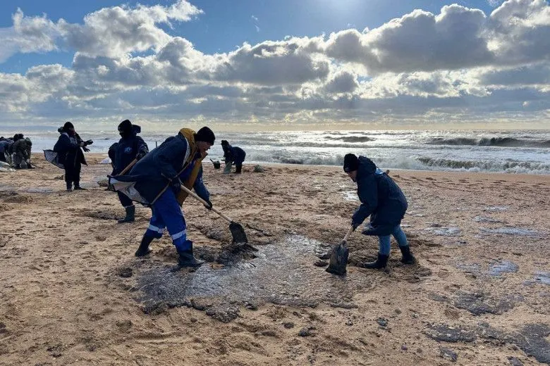 Разлив мазута в Черном море: в Новороссийске фиксируют гибель дельфинов и птиц