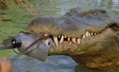 Famous crocodile, who starred in the legendary movie, dies in Australia