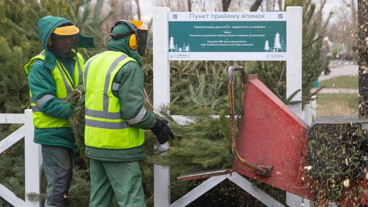 У Києві із 2 січня запрацюють пункти прийому новорічних ялинок: що з ними будуть робити