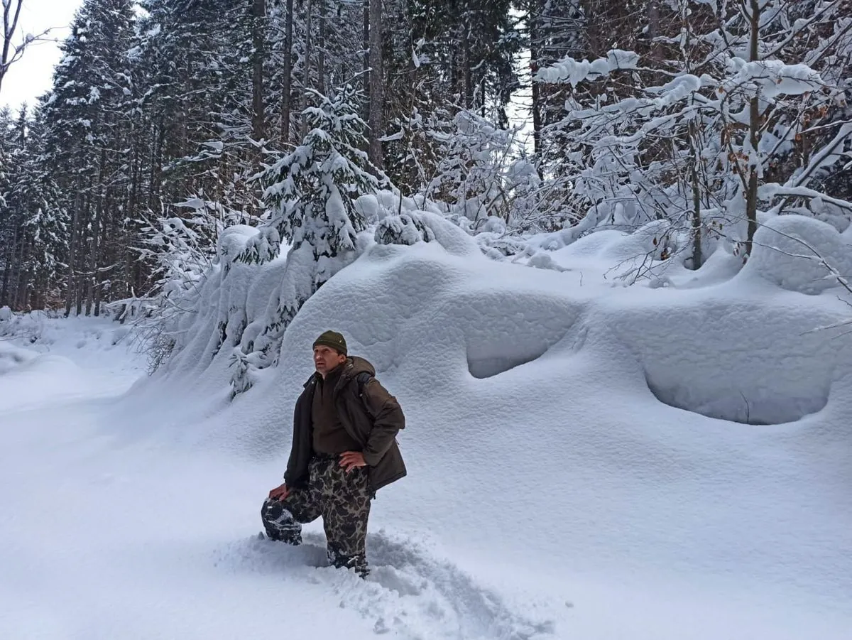 What the snow-covered Carpathians look like: photos have appeared