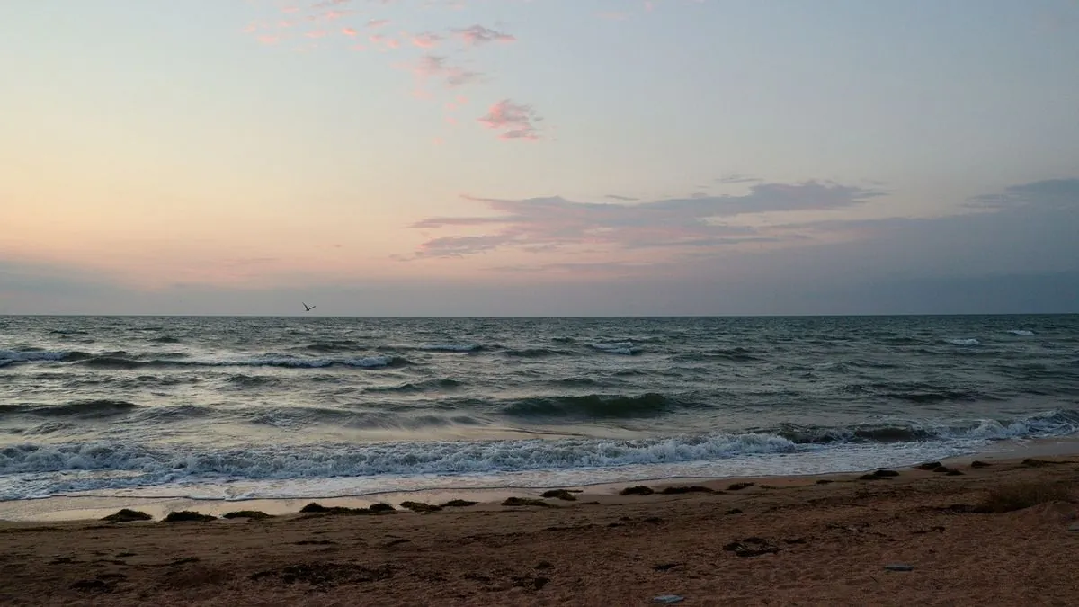 ВМС України: у Чорному та Азовському морях без ворожих кораблів