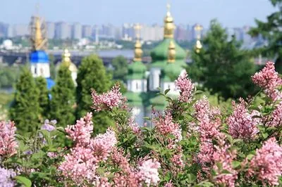 Інвестиційний договір на забудову столичного ботсаду Гришка буде розірвано - КМВА