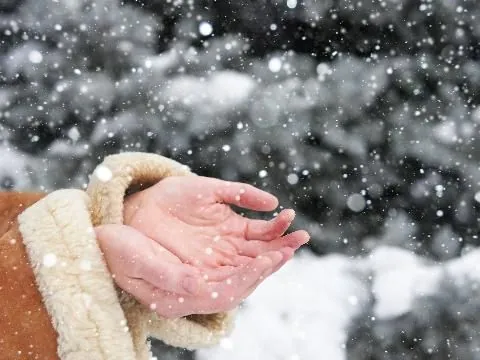 Погода в Україні: де буде найтепліше 19 січня та чого чекати від зими Погода в Україні: де буде найтепліше 19 січня та чого чекати від зими