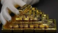 Gold prices are growing at a frantic pace