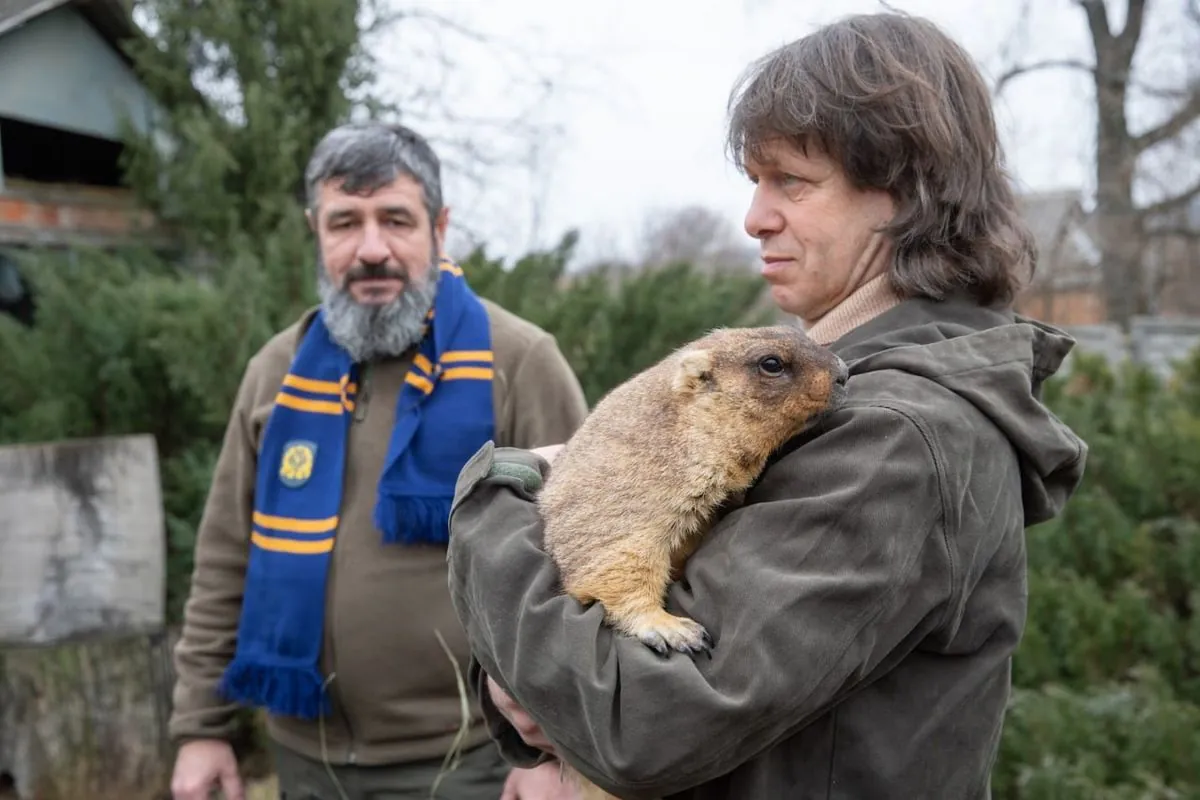 Groundhog Tymko III gave a “weather forecast” for spring Groundhog Tymko III gave a “weather forecast” for spring