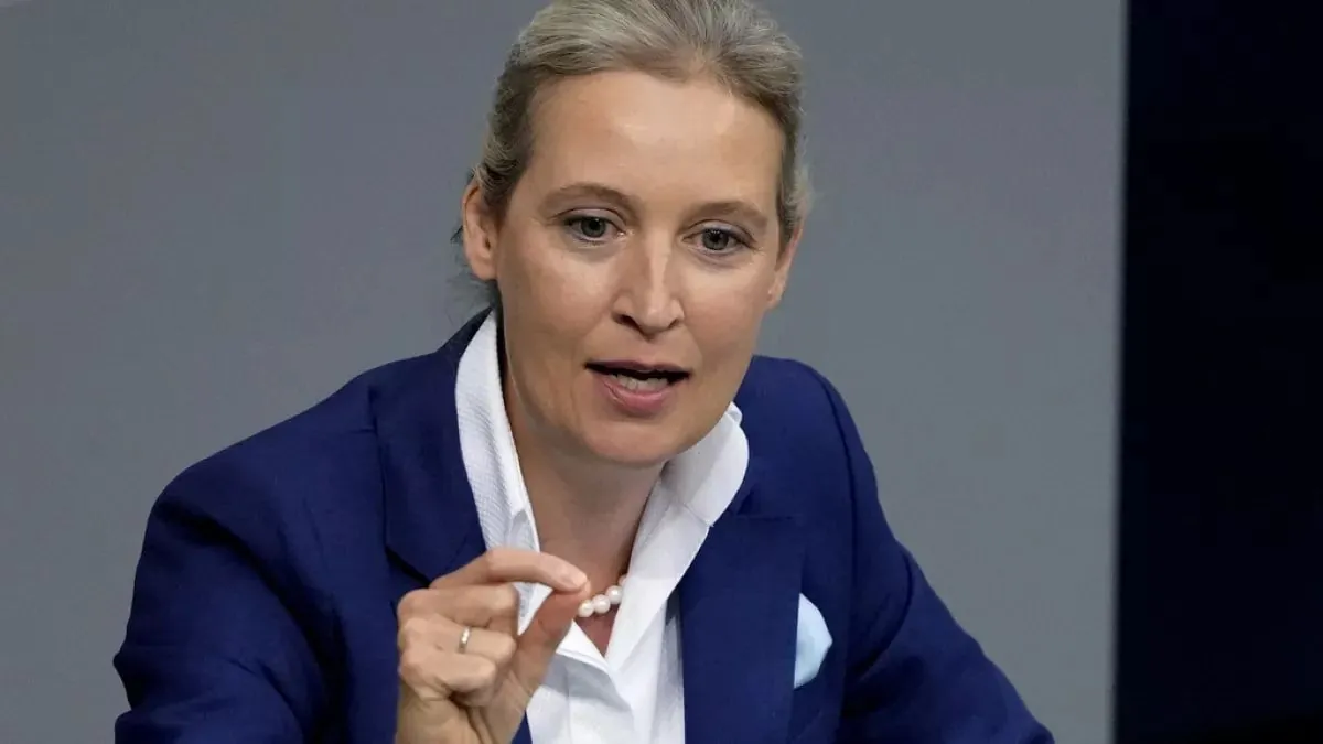Лидер ультраправой немецкой партии AfD тайно проводила встречи с послом Китая - СМИ Лидер ультраправой немецкой партии AfD тайно проводила встречи с послом Китая - СМИ