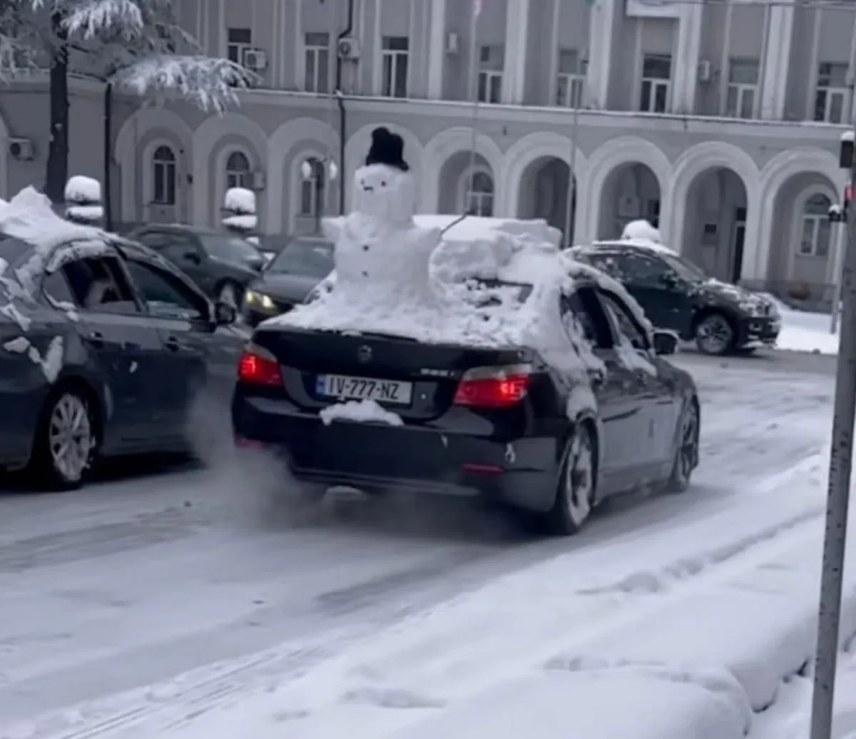 Snow disaster in Georgia: buses stopped in Batumi, schools and airport closed Snow disaster in Georgia: buses stopped in Batumi, schools and airport closed