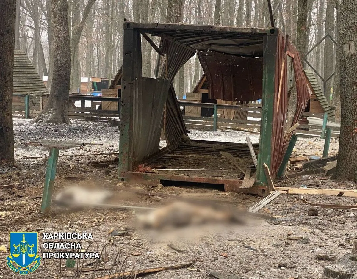Вражеский беспилотник ударил по экопарку в пригороде Харькова: погибли животные