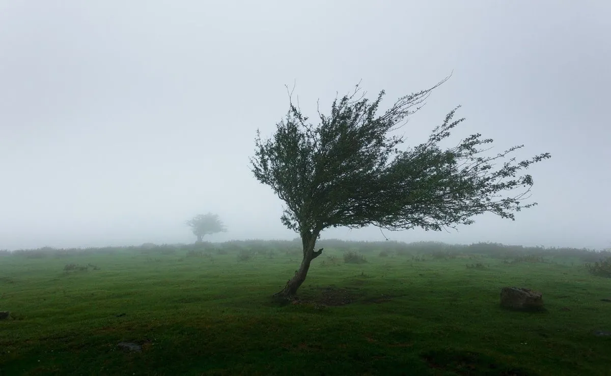 Rescuers advise not to go outside: a storm is expected Rescuers advise not to go outside: a storm is expected