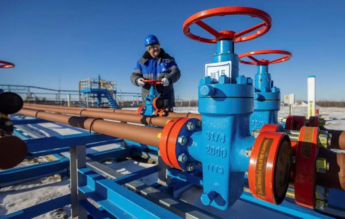 Сербия договаривается с Россией о поставках газа на 30 лет Сербия договаривается с Россией о поставках газа на 30 лет