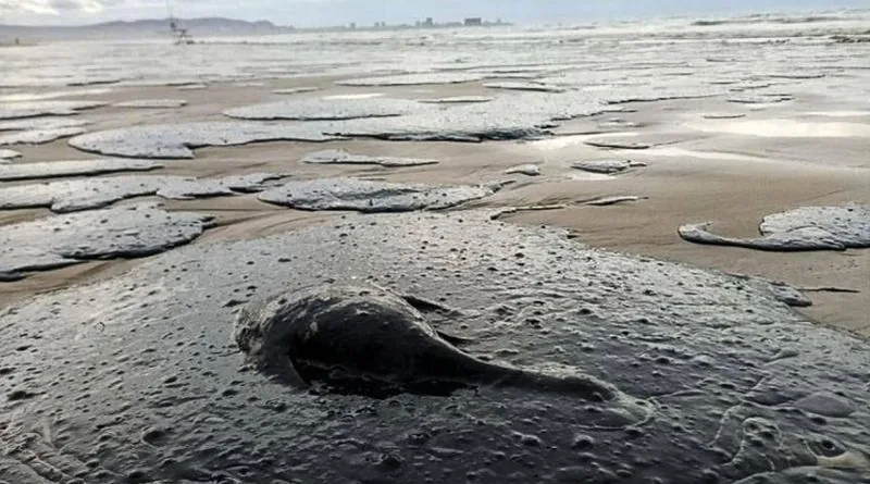 Наслідки аварії в Керчі: узбережжя Азовського моря досі в мазуті - ЦНС Наслідки аварії в Керчі: узбережжя Азовського моря досі в мазуті - ЦНС