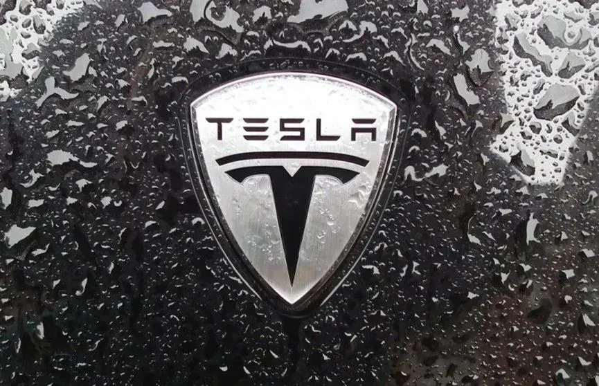 Tesla shares have been falling weekly since Musk "moved" to Washington