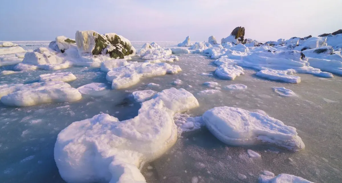 In Kharkiv region, three people fell through the ice in one day: one did not survive In Kharkiv region, three people fell through the ice in one day: one did not survive