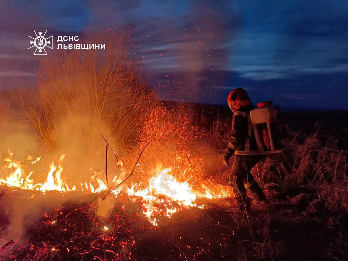 Wildfires over the weekend burned 2000 hectares: victims in several regions Wildfires over the weekend burned 2000 hectares: victims in several regions