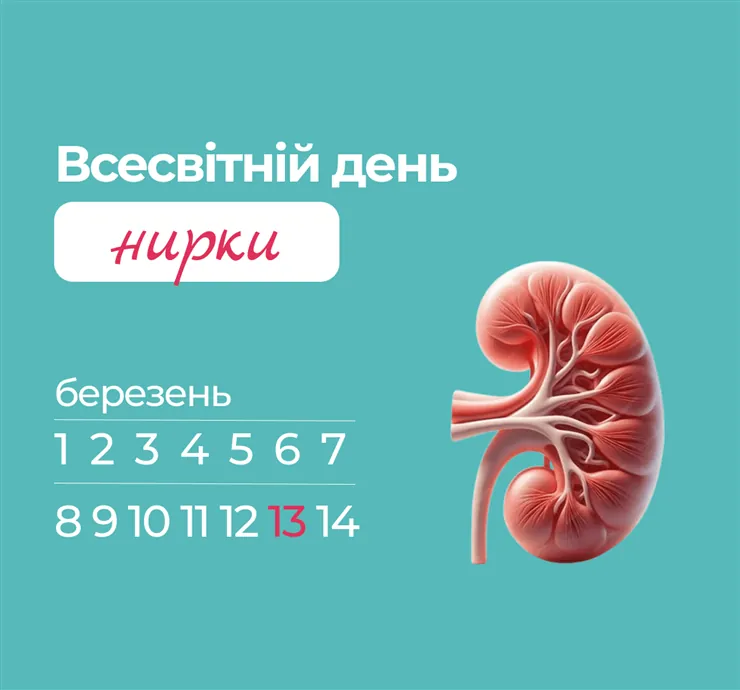 10% населення світу мають хронічну хворобу нирок: у Центрі Шалімова наголосили на важливості діагностики 10% населення світу мають хронічну хворобу нирок: у Центрі Шалімова наголосили на важливості діагностики