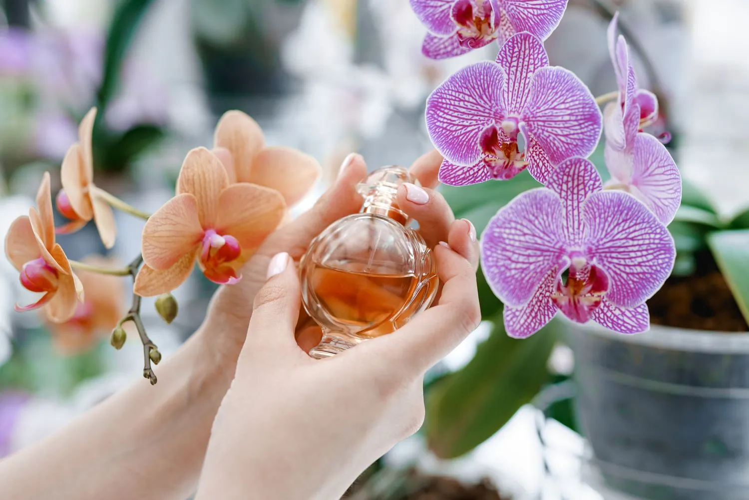 Which perfume to choose in spring 2025: trends and expert advice Which perfume to choose in spring 2025: trends and expert advice