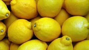 Turkey suspends lemon exports abroad