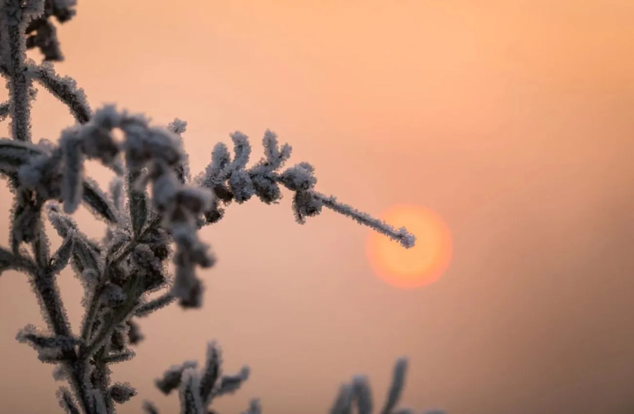 Remnants of wet snow and frost are expected tomorrow: then - spring returns Remnants of wet snow and frost are expected tomorrow: then - spring returns