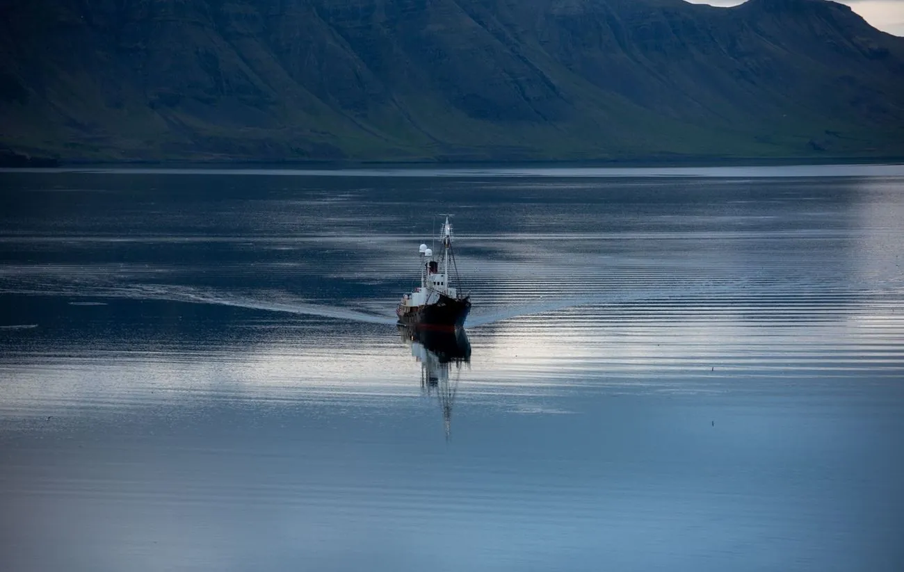 Whaling season canceled in Iceland due to economic situation Whaling season canceled in Iceland due to economic situation