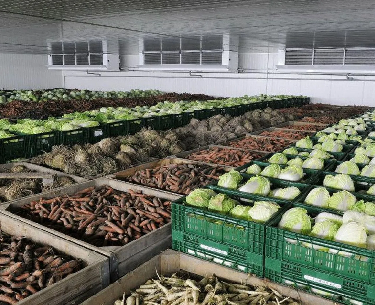 Створення мережі овочесховищ допоможе стабілізувати ціни на продукти - Мінагро