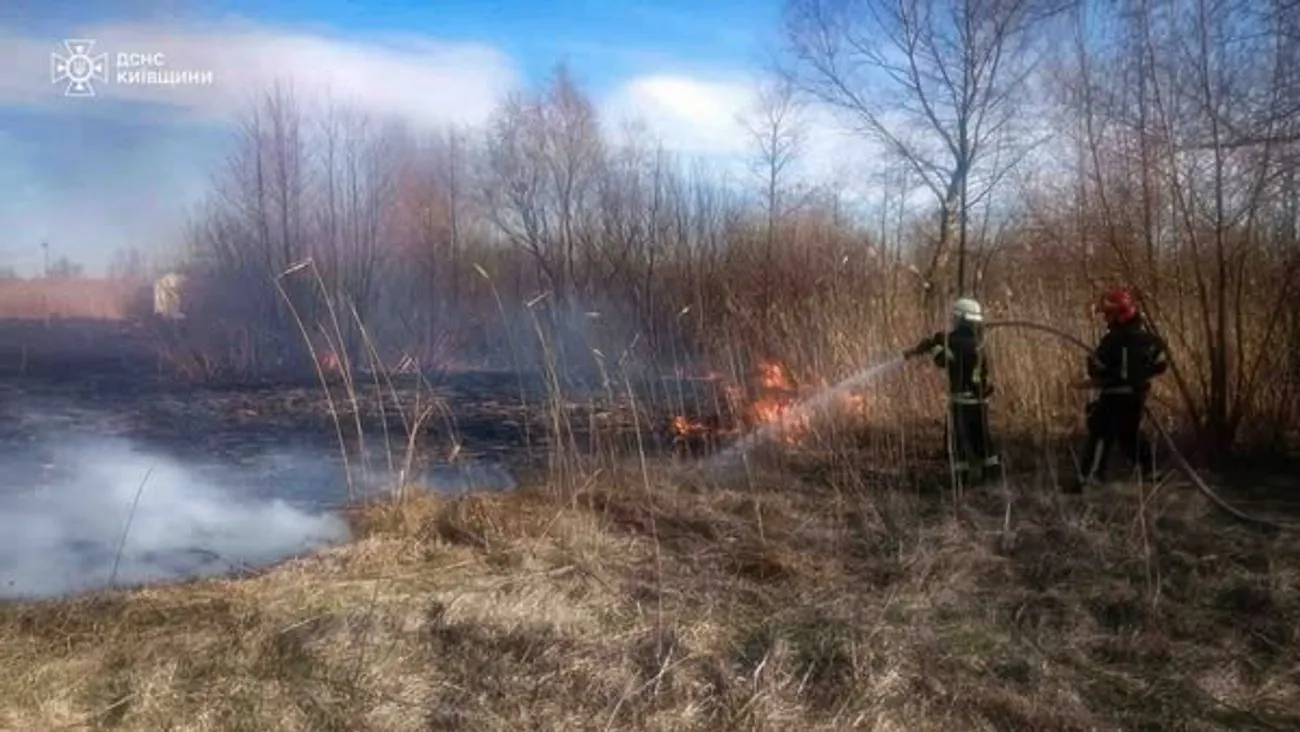 На Київщині дві людини загинули через спалювання сухої трави На Київщині дві людини загинули через спалювання сухої трави