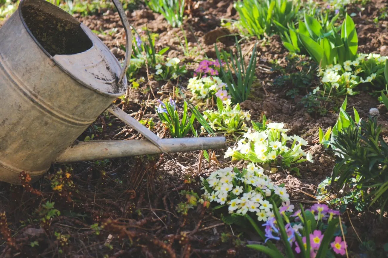 What to do in the garden in May: tasks that cannot be missed What to do in the garden in May: tasks that cannot be missed