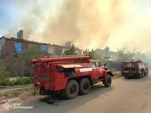 Лесной пожар возле Изюма быстро распространяется из-за ветра: продолжается эвакуация