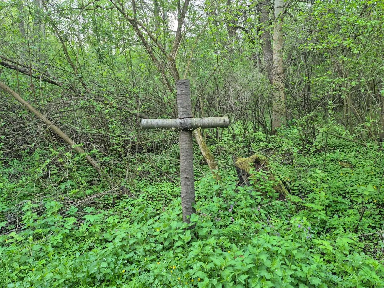 The exhumation in Puzhnyky has been completed in the Ternopil region, and they are moving to the identification stage The exhumation in Puzhnyky has been completed in the Ternopil region, and they are moving to the identification stage