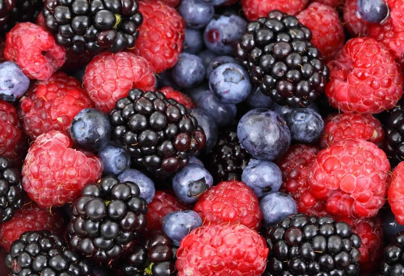 Ukraine is a world leader in the berry market: our scientists have created over 170 new varieties of rare crops Ukraine is a world leader in the berry market: our scientists have created over 170 new varieties of rare crops