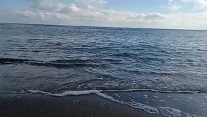 В Черном море вражеские корабли отсутствуют - ВМС ВСУ
