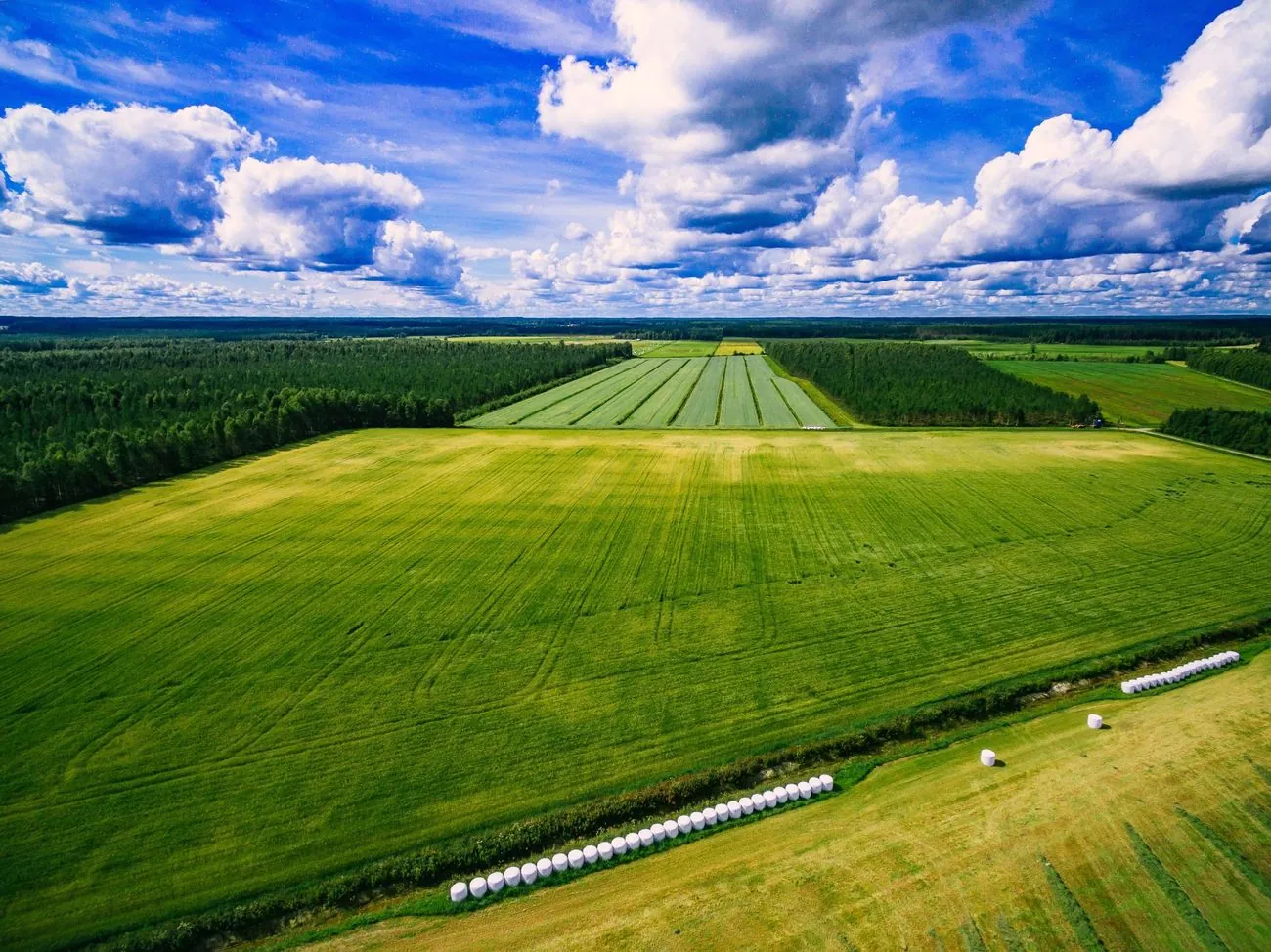 After a wave of criticism, the State Property Fund promised to review the draft withdrawal of land from the National Academy of Agrarian Sciences After a wave of criticism, the State Property Fund promised to review the draft withdrawal of land from the National Academy of Agrarian Sciences