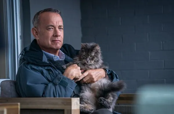 Five cozy movies: what to watch in your free time