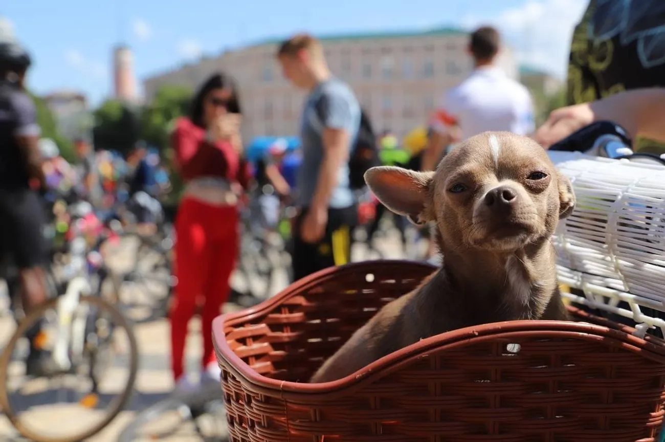 Warmth returns to Ukraine: weather forecaster promises a temperature increase Warmth returns to Ukraine: weather forecaster promises a temperature increase