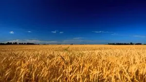 Solidarity Lanes: за три роки українсько-європейські "шляхи солідарності" стали рятівним каналом для економіки України