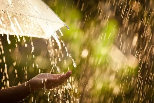 Літо прийде в Україну з дощами та спекою під 30°