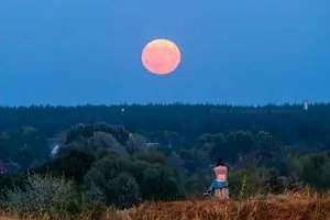 Над Украиной взошла "Клубничная Луна": пользователи в соцсетях делятся фото