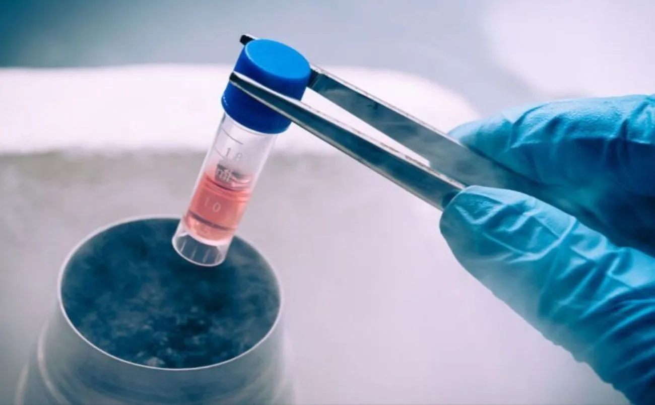 Military personnel can save reproductive cells for free: the Ministry of Health announced the algorithm of actions Military personnel can save reproductive cells for free: the Ministry of Health announced the algorithm of actions