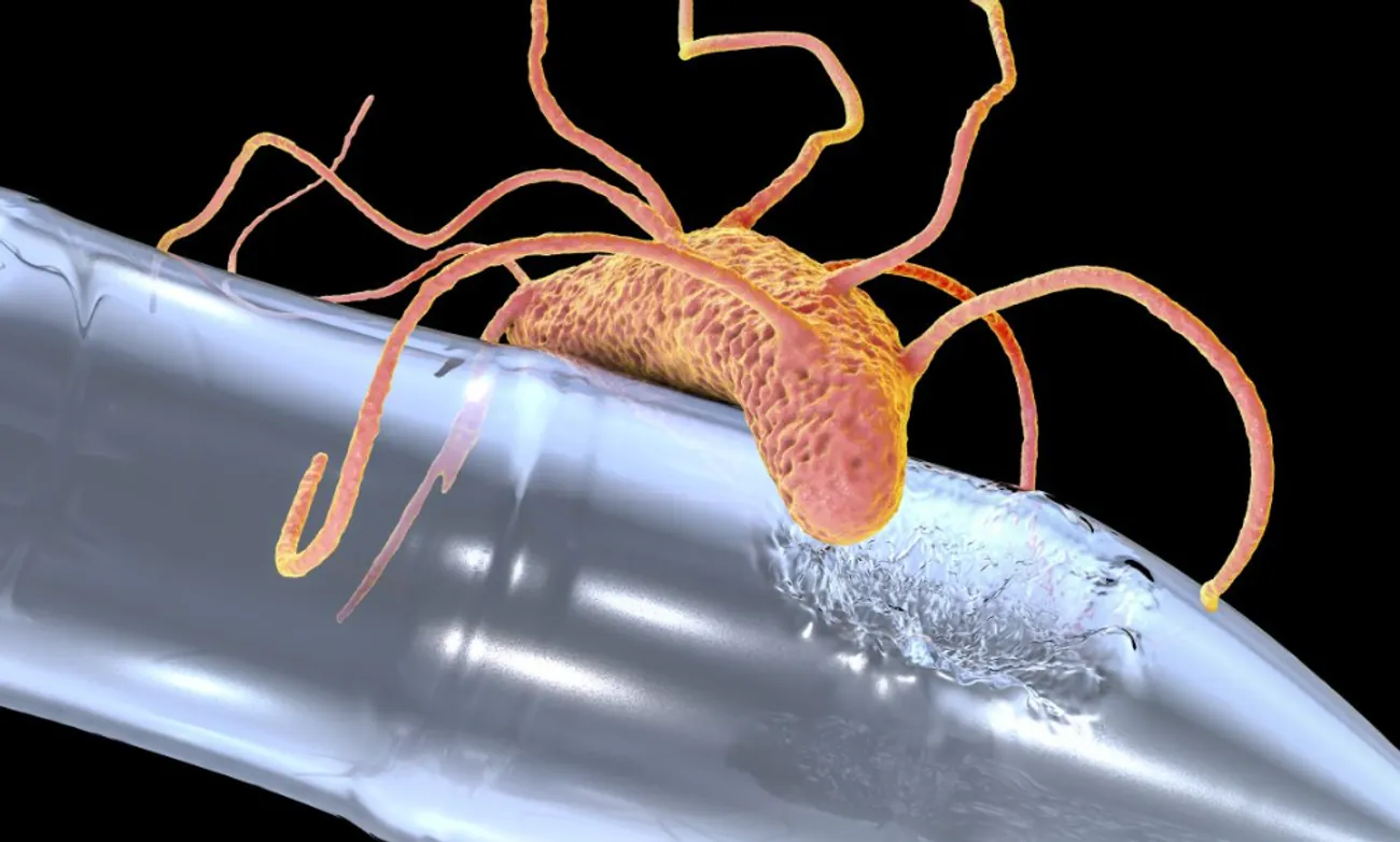 Scientists have found a way to fight bacteria with plastic Scientists have found a way to fight bacteria with plastic