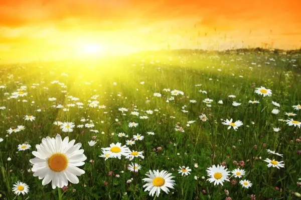 Summer Solstice: traditions, omens and what not to do on the longest day of the year