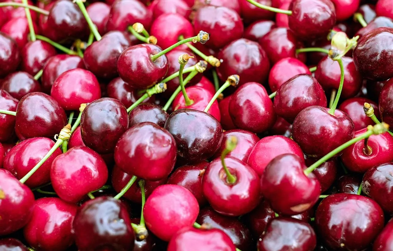 Problems with cherry quality in Ukraine led to a decrease in its prices