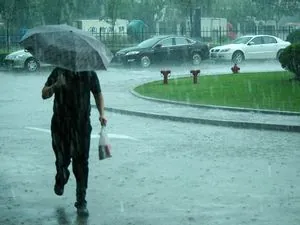 Україну накриють дощі та грози: синоптики дали прогноз на 24 червня