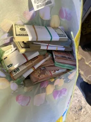 З України хотіли вивезти майже чверть мільйона євро та доларів у багажнику авто: зупинили на кордоні з ЄС