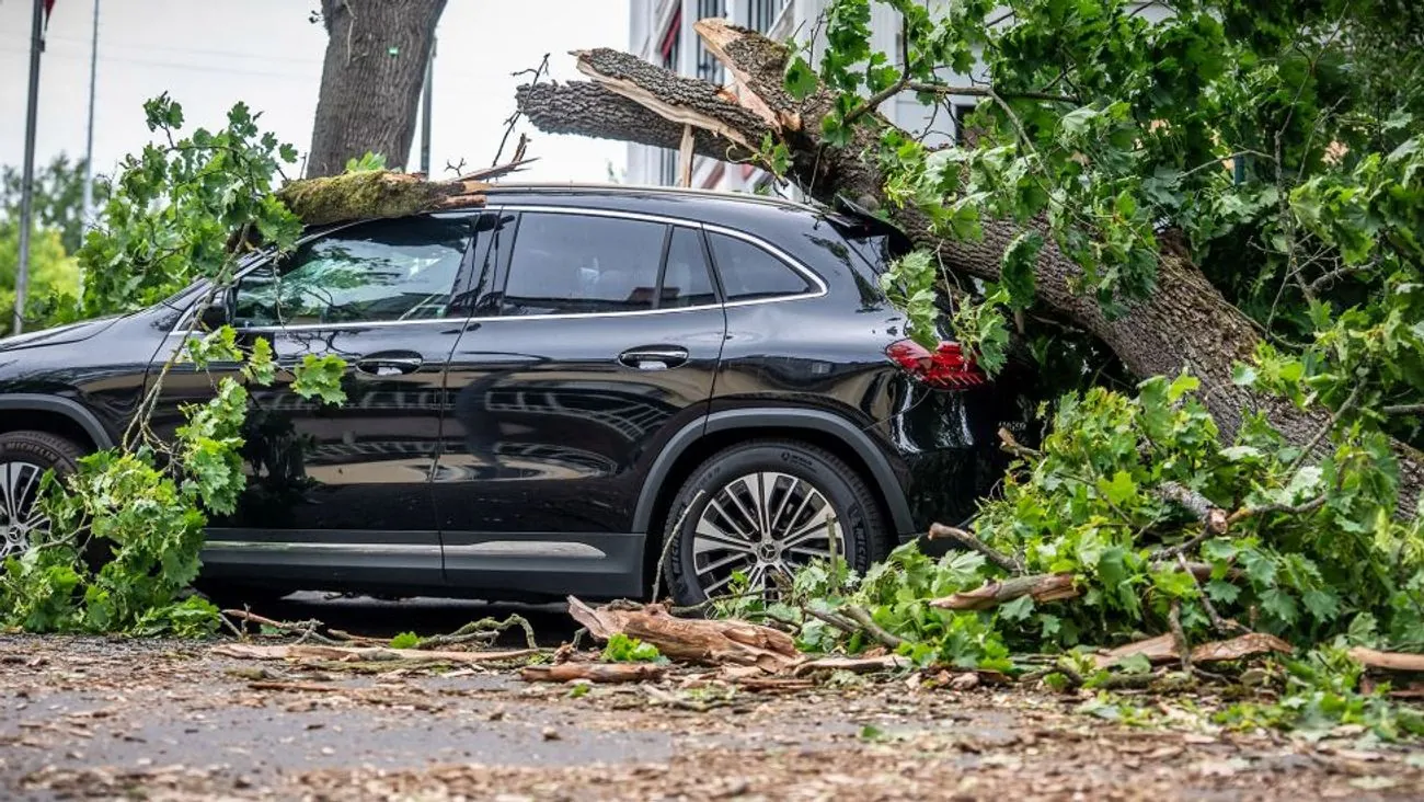 Storm "Ziros" swept through eastern Germany: one victim, railway traffic disrupted Storm "Ziros" swept through eastern Germany: one victim, railway traffic disrupted